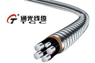 通光線纜2019年營收14.76億元，光纖光纜業務因訂單減少致收入下滑